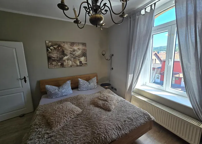 Palais Picard Westfluegel * Thale